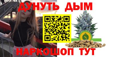 крисы Камышлов