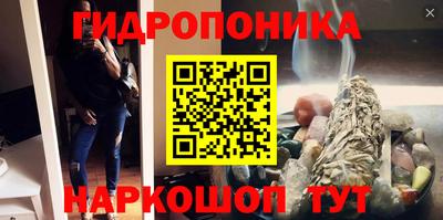 крисы Камышлов
