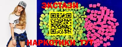 крисы Камышлов