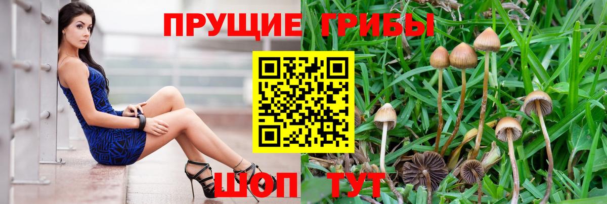 Слободской  Псилоцибиновые грибы мицелий  Вход с VPN  Псилоцибиновые грибы мицелий 